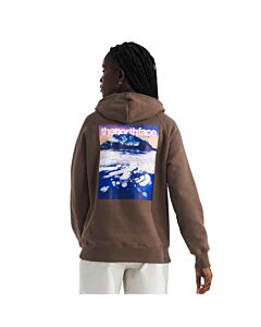 The North Face Women's Suspended Hoodie, Smokey Brown