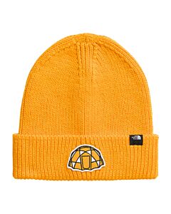 The North Face Logo Box Cuffed Beanie, Summit Gold