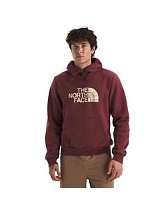 The North Face Men's Edge Of Light Half Dome Hoody, Sumac