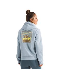 The North Face Women's All Day Beauty Hoodie, Frost Grey