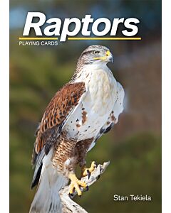A photo of the cover of a playing card deck that says Raptors Playing Cards by Stan Tekiela with a photo of a bird on the front. 