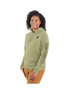 Carhartt Women's Relaxed Fit Midweight Logo Hoodie, color: Dried Clay