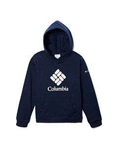 Columbia Kids' Columbia Trek Pullover Hoodie