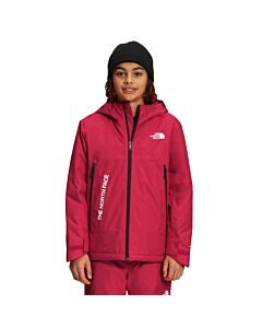The North Face Boys' Freedom Insulated Jacket
